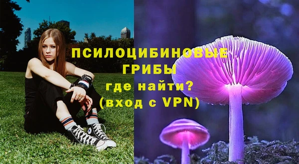 2c-b Абаза